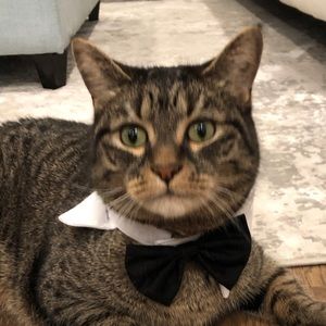 Meet your Posher, Kate